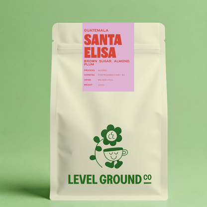 Santa Elisa washed Guatemalan coffee bag by Level Ground Co