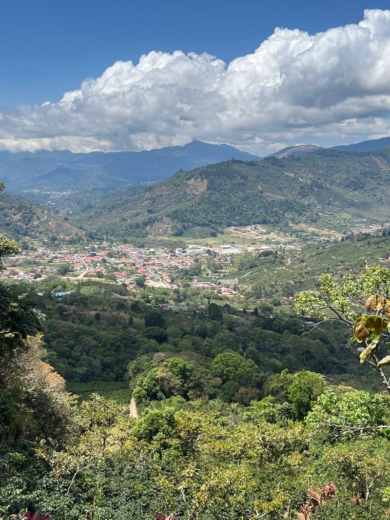 Encanto