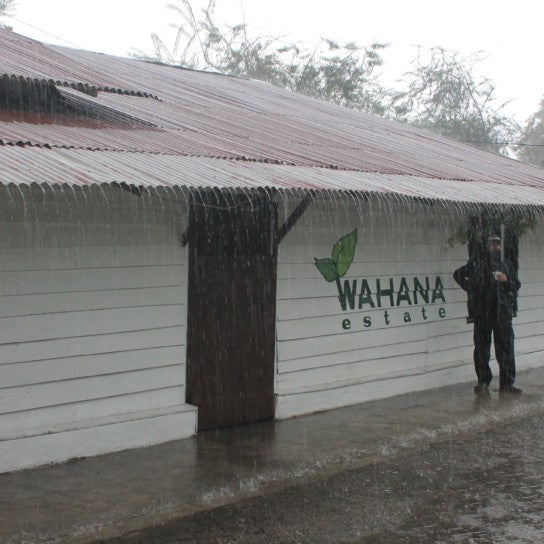 Wahana